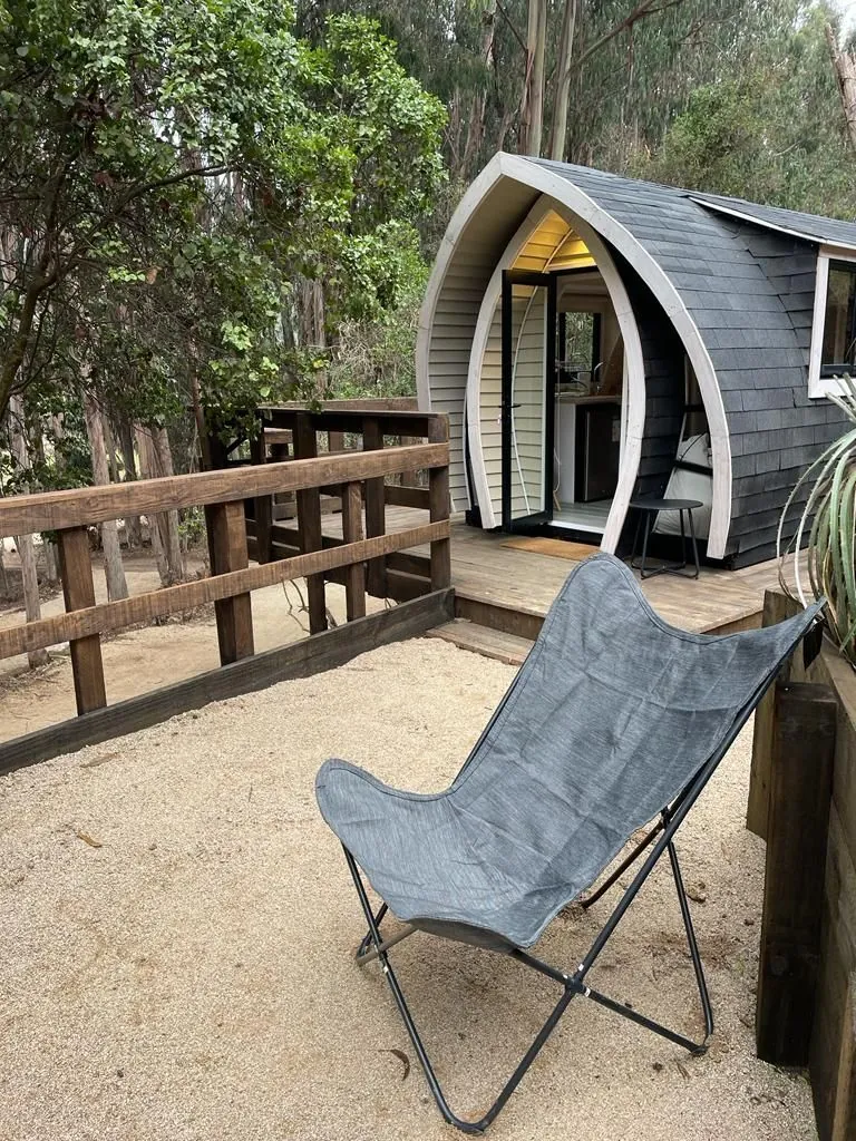 Tiny Bosque Un Ambiente