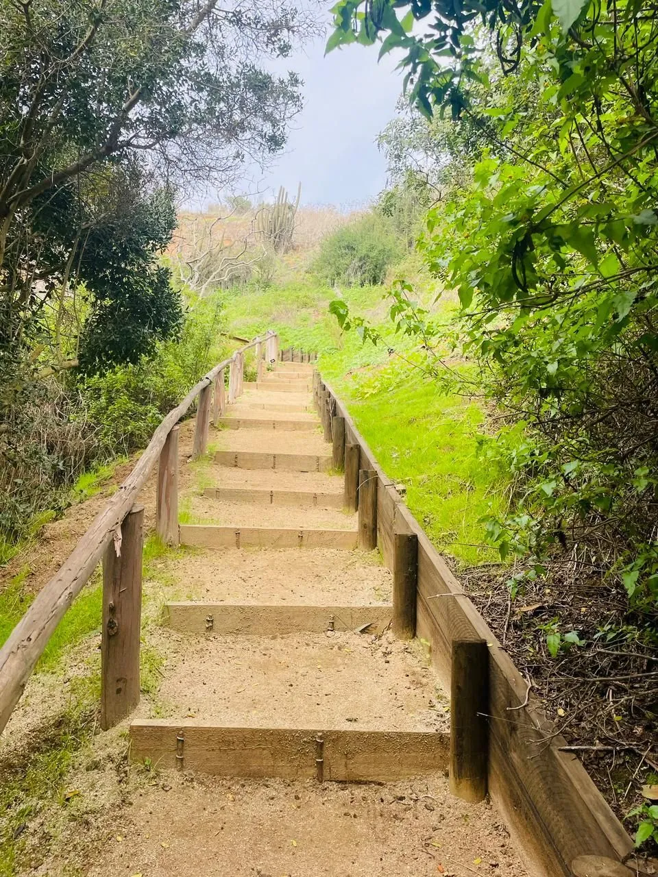 Parque Laguna de Zapallar